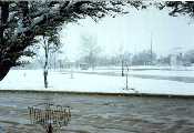 La Ciudad en un d�a de nieve 