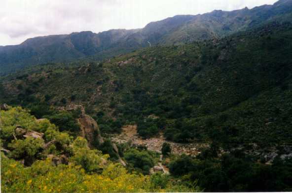 San Francisco del Monte de Oro