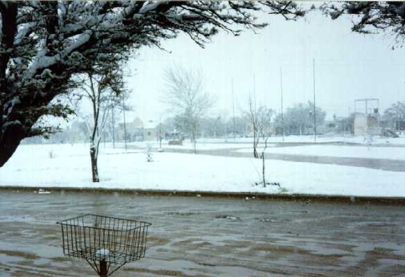 Un d�a con nieve
