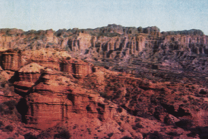 quijadas.gif (89559 bytes)