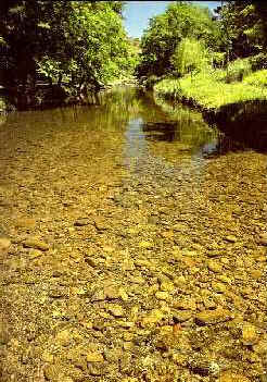 R�o Trapiche