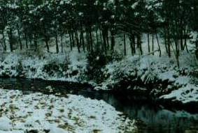 R&iacute;o Grande