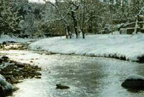 El Trapiche
